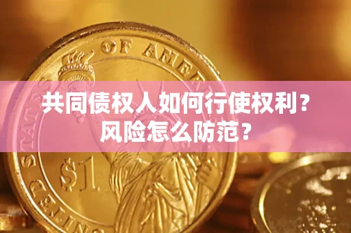 北京共同债权人如何行使权利？风险怎么防范？