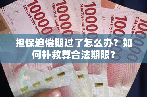 北京担保追偿期过了怎么办？如何补救算合法期限？