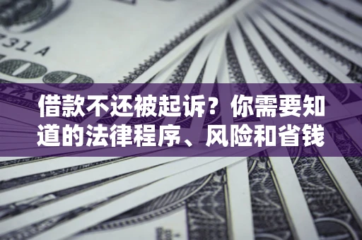 北京借款不还被起诉？你需要知道的法律程序、风险和省钱技巧