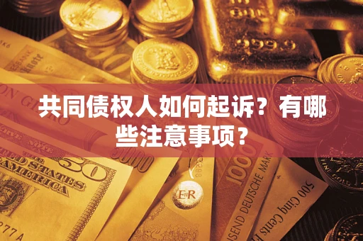 北京共同债权人如何起诉？有哪些注意事项？